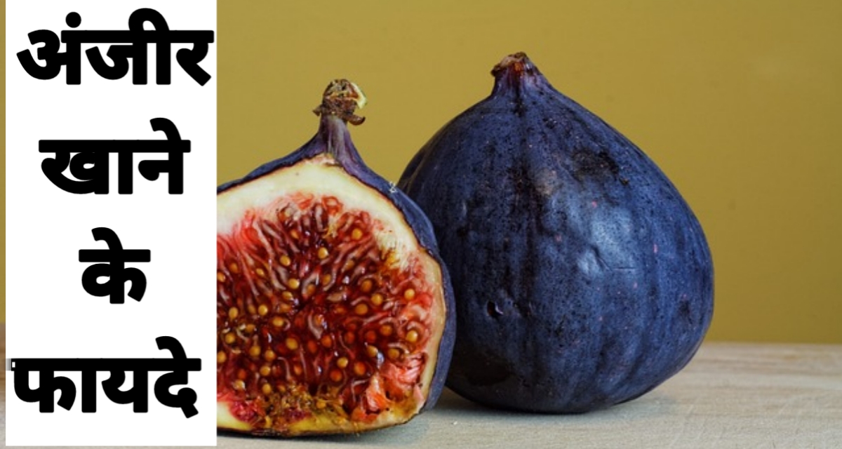 FIG