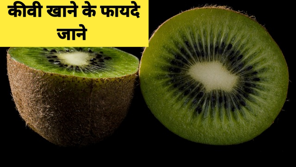 KIWI